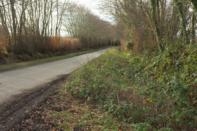 Lane, Redgate © Derek Harper :: Geograph Britain and Ireland