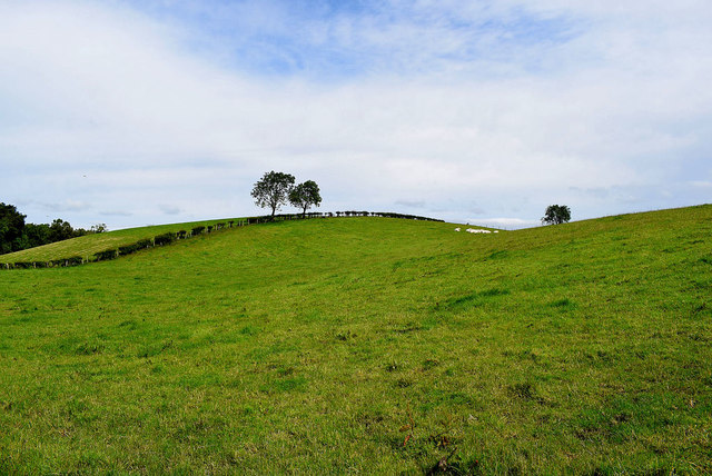 Trees on a hill, Tullyvally
