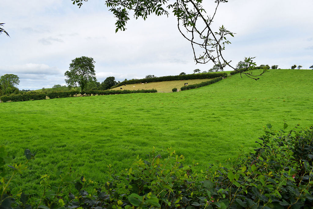 sloping-fields-kilgort-kenneth-allen-cc-by-sa-2-0-geograph