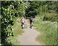 Cycling along the Cloud Trail