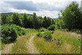 Track to Glen Orchil