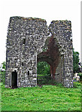 N7760 : Castles of Leinster: Moymet, Meath (3) by Garry Dickinson