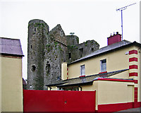 N6062 : Castles of Leinster: Delvin, Westmeath (1) by Garry Dickinson