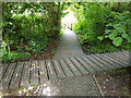 Wooded footpaths laid over swampy ground