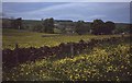 Farmland near Cowling