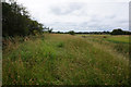 Public right of way towards Barmby Grange