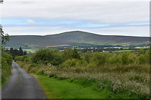 O2207 : View of Djouce from Drumbawn Townland by Simon Mortimer