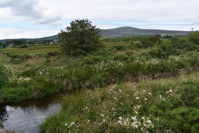 Vartry River, Carriggower Townland © Simon Mortimer :: Geograph Britain ...