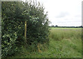 Fingerpost on Ings Lane near Spaldington