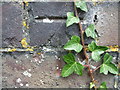 Benchmark on the bridge to Wheathill