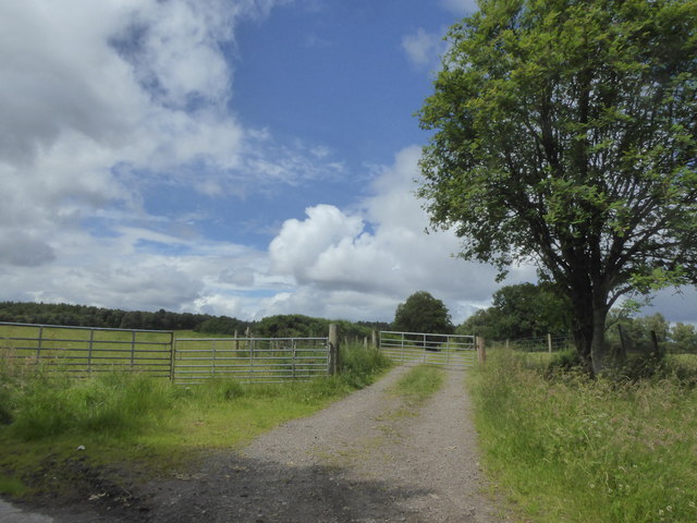 Farm track at Newfield