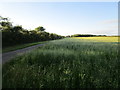 Roadway to Lodge Farm