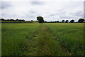 Howden Twenty towards Oak Tree Farm