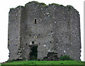 S0883 : Castles of Munster: Rathnaveoge, Tipperary by Garry Dickinson