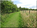 Path, Silverlink Biodiversity Park, Shiremoor