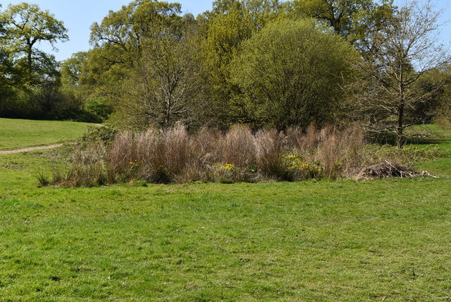 boggy-area-dunorlan-park-n-chadwick-geograph-britain-and-ireland