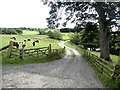 NZ0484 : Driveway to Scarlett Hall Farm by Oliver Dixon