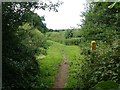 Bridleway above Epperstone