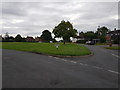 The Green at Sinton Green, Worcestershire