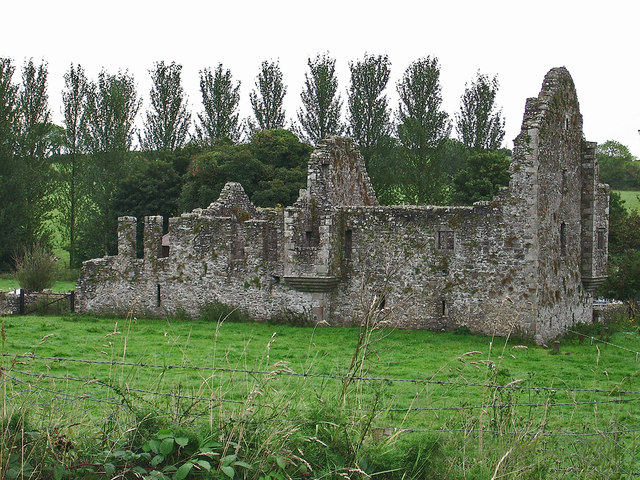 Castles of Leinster: Robertstown, Meath (1)