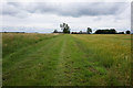 Bridleway towards Manor Farm