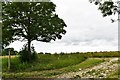 Thorpe Morieux: Public footpath over farm land