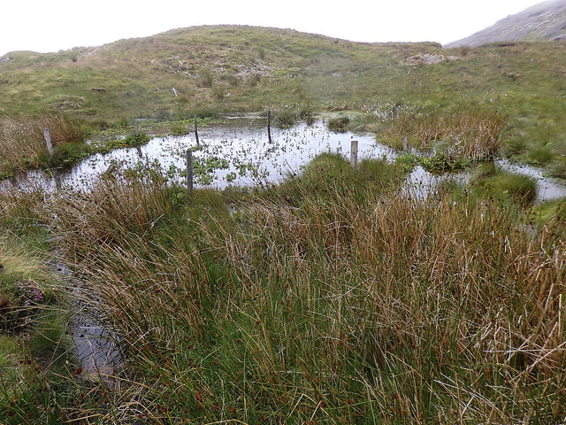 Boggy pond below the Storr escarpment