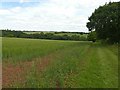 SK6549 : Dumble landscape near Hill Farm by Alan Murray-Rust