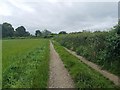 Path near Coal Aston