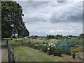 Allotments at Southborough