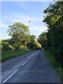 The road in to Swineshead with a hot air balloon above