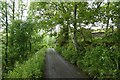 Road near Scout Green