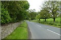 Road outside Orton Hall