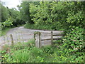 Cyffordd o lwybrau / A junction of paths