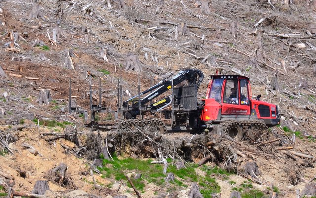 Forestry machine, Oxcleuch Rig