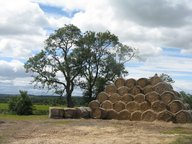 Straw Bales Near Gifford © M J Richardson Cc-by-sa/2.0 :: Geograph ...