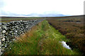 Soggy bridleway across Skelton Moor