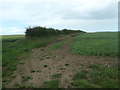 TA0264 : Field boundary near Creyke Farm by Christine Johnstone