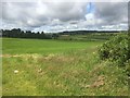 Field off the Old Perth Road