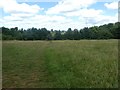 Path to the hedge in Ludwell Valley Park, Exeter