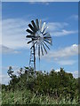 TL5670 : Windmill in Wicken Fen by Matthew Chadwick