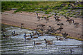 Chew Stoke : Chew Valley Lake