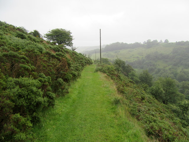 Bridleway south of Fough