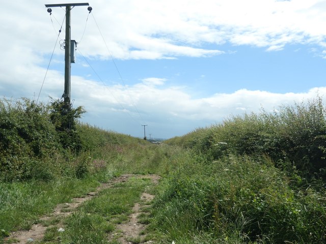 Green lane descending Thornholme Field