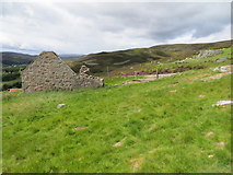 NJ3001 : The ruined Shenval beside the A939 road by Peter Wood