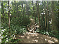 Footbridge over Halfsmock Stream