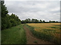TL0770 : Bridleway to Tilbrook by Jonathan Thacker