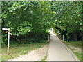 Path junction and footbridge, Maidenbower