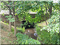 Stanford Brook passes under Maidenbower Drive