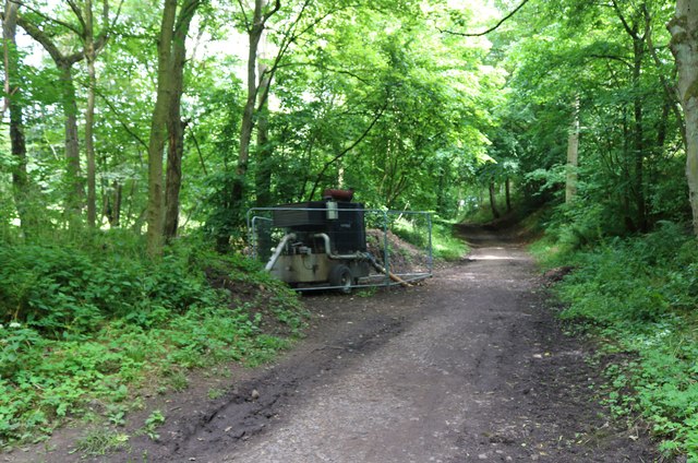 River bank path